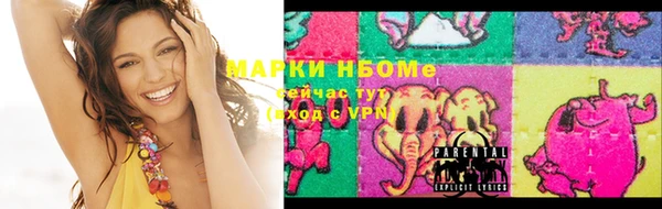 шишки Няндома