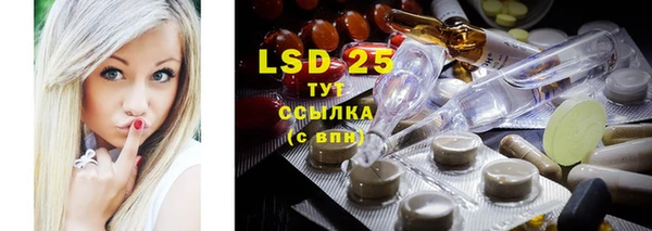 шишки Няндома