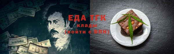 шишки Няндома