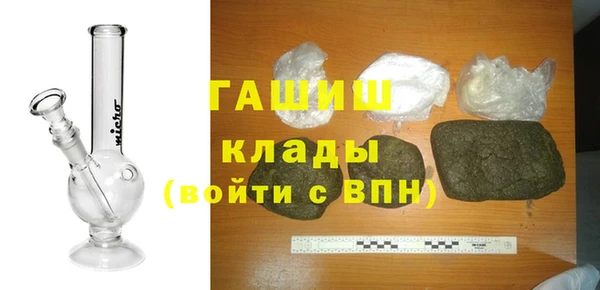 шишки Няндома