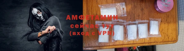 шишки Няндома