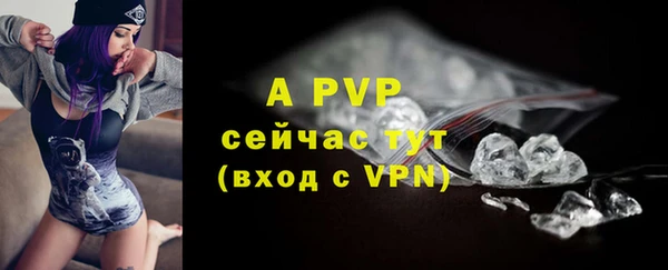 шишки Няндома