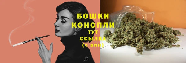 шишки Няндома