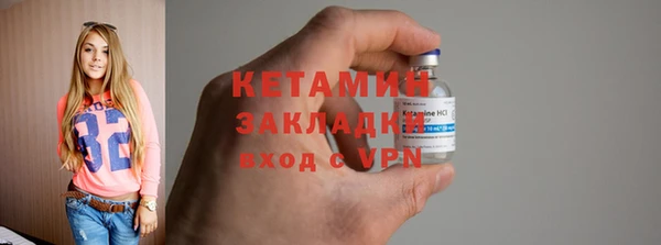шишки Няндома