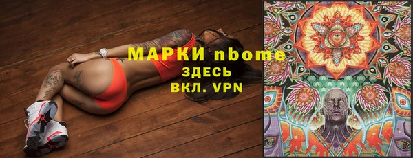 шишки Няндома