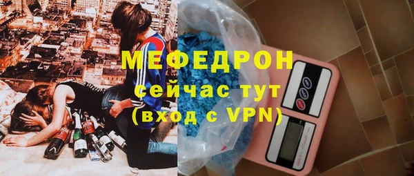 шишки Няндома