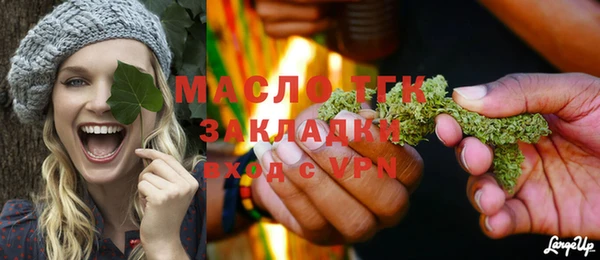 шишки Няндома