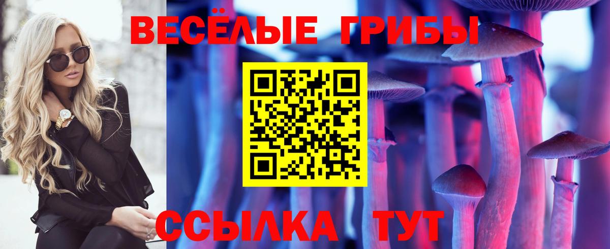 Галлюциногенные грибы Psilocybine cubensis Ярцево