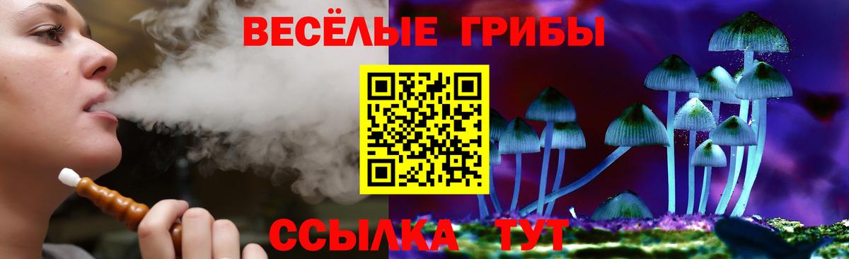 Галлюциногенные грибы Magic Shrooms  Вход с VPN  продажа наркотиков  Ярцево 
